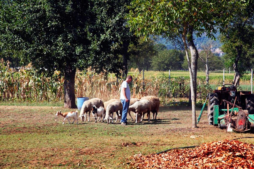 Azienda Agrituristica Pericle Montella Exterior foto